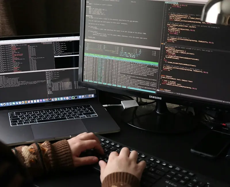 Web Development and Digital Platforms